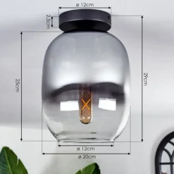 Plafonnier - Verre Apedo Clair, Fumé, 1 lumière