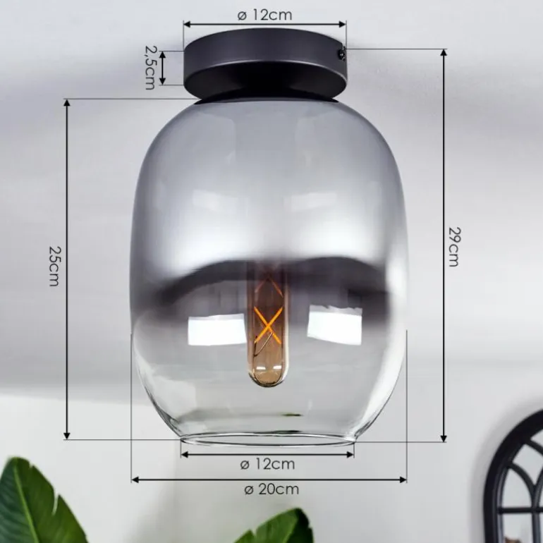 Plafonnier - Verre Apedo Clair, Fumé, 1 lumière