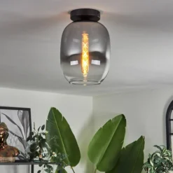 Plafonnier - Verre Apedo Clair, Fumé, 1 lumière