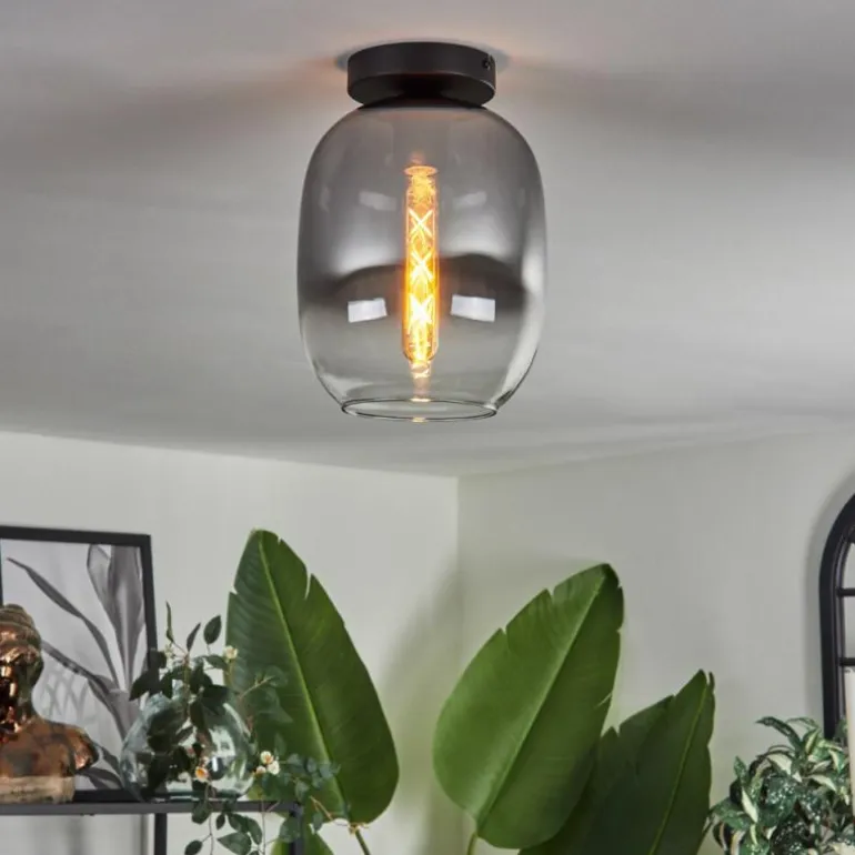 Plafonnier - Verre Apedo Clair, Fumé, 1 lumière