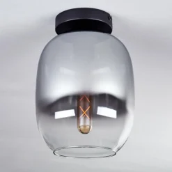 Plafonnier - Verre Apedo Clair, Fumé, 1 lumière