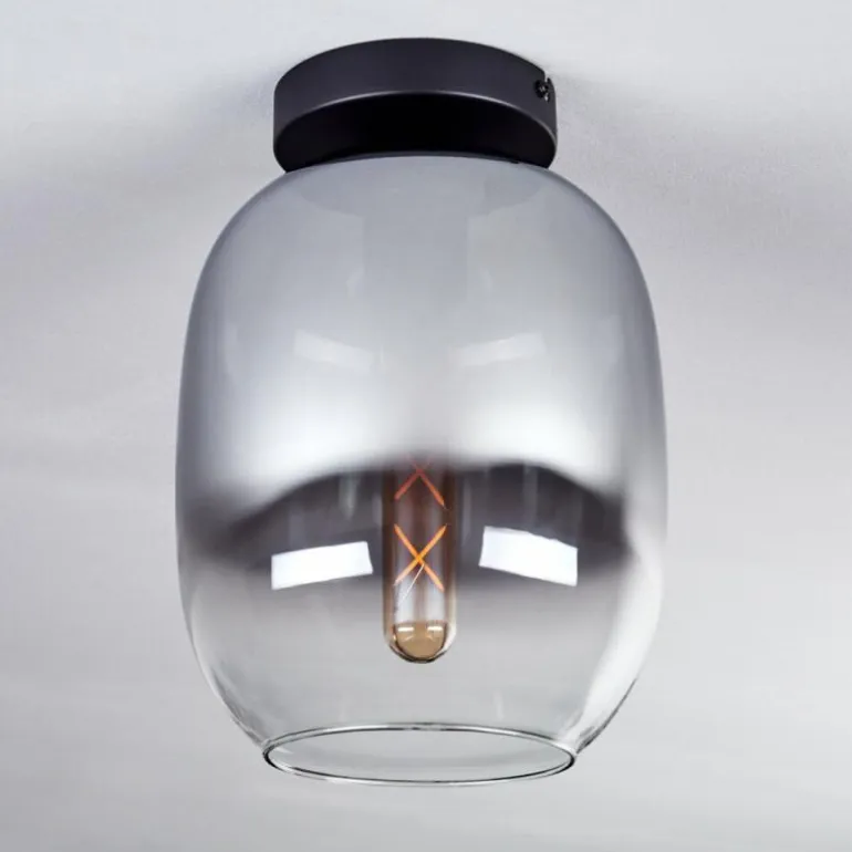 Plafonnier - Verre Apedo Clair, Fumé, 1 lumière