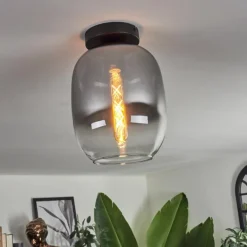 Plafonnier - Verre Apedo Clair, Fumé, 1 lumière