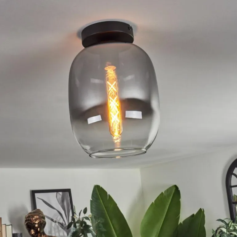 Plafonnier - Verre Apedo Clair, Fumé, 1 lumière