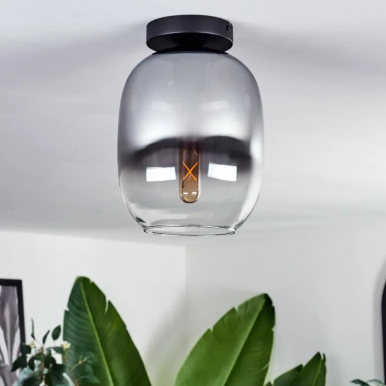 Plafonnier - Verre Apedo Clair, Fumé, 1 lumière