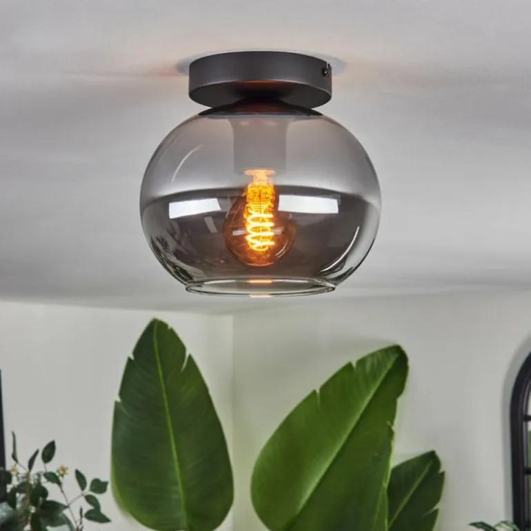 Plafonnier - Verre Apedo Fumé, 1 lumière