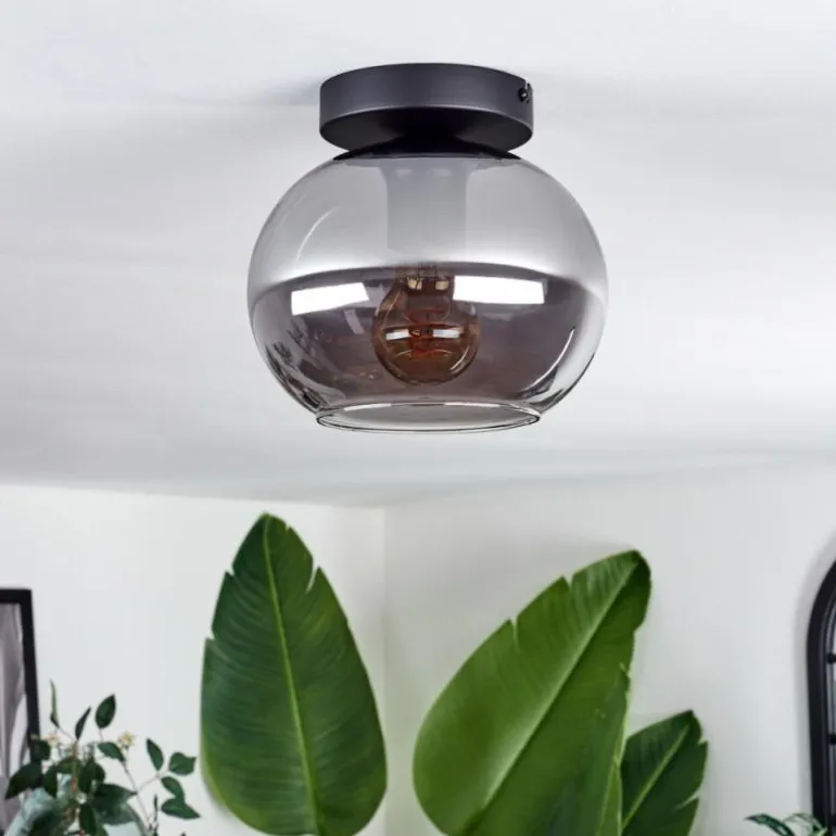 Plafonnier - Verre Apedo Fumé, 1 lumière