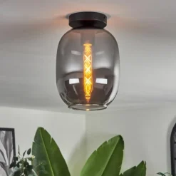 Plafonnier - Verre Apedo Fumé, 1 lumière