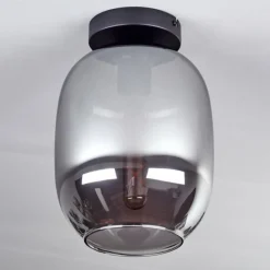 Plafonnier - Verre Apedo Fumé, 1 lumière