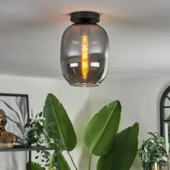 Plafonnier - Verre Apedo Fumé, 1 lumière