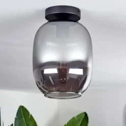 Plafonnier - Verre Apedo Fumé, 1 lumière
