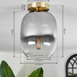 Plafonnier - Verre Apedo Laiton, 1 lumière