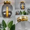 Plafonnier - Verre Apedo Laiton, 1 lumière