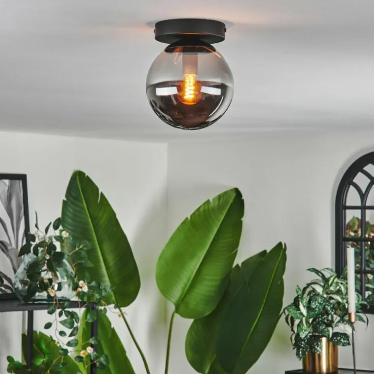 Plafonnier - Verre Gastor Fumé, 1 lumière
