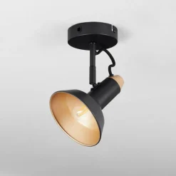 Plafonnier Vouzy Noir, 1 lumière