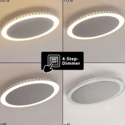 Plafonnier Aitrach LED Argenté, 1 lumière
