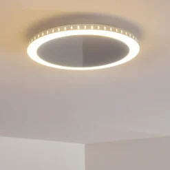 Plafonnier Aitrach LED Argenté, 1 lumière