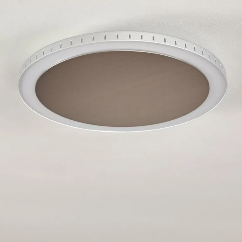 Plafonnier Aitrach LED Argenté, 1 lumière