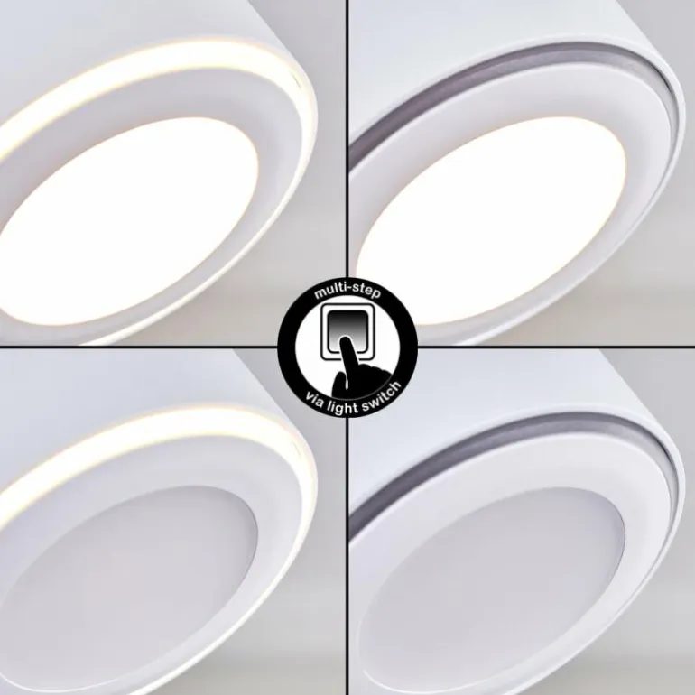 Plafonnier Appleton LED Blanc, 1 lumière