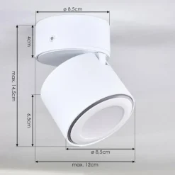 Plafonnier Appleton LED Blanc, 1 lumière