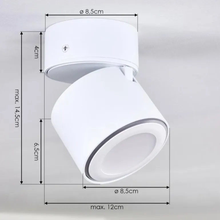 Plafonnier Appleton LED Blanc, 1 lumière