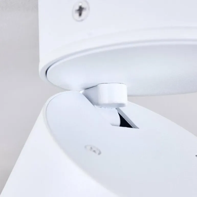 Plafonnier Appleton LED Blanc, 1 lumière