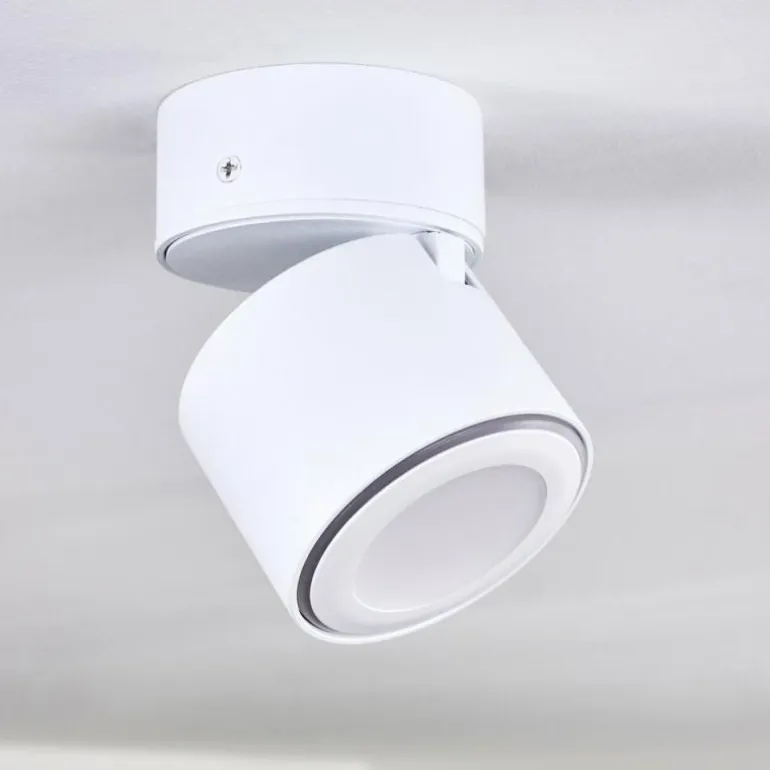 Plafonnier Appleton LED Blanc, 1 lumière