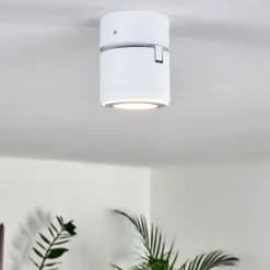 Plafonnier Appleton LED Blanc, 1 lumière