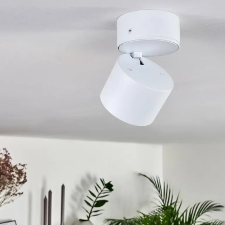 Plafonnier Appleton LED Blanc, 1 lumière