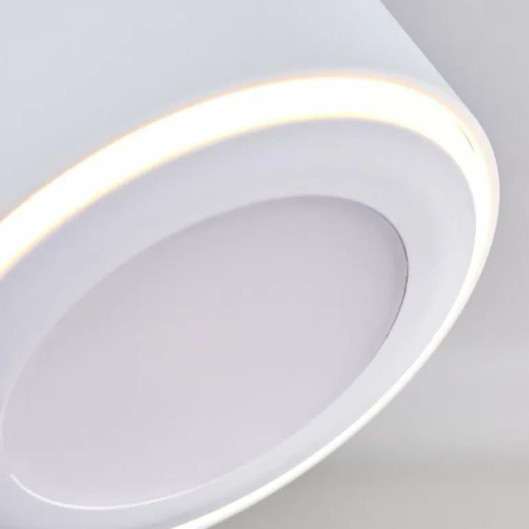 Plafonnier Appleton LED Blanc, 3 lumières