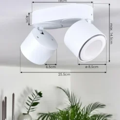 Plafonnier Appleton LED Blanc, 2 lumières
