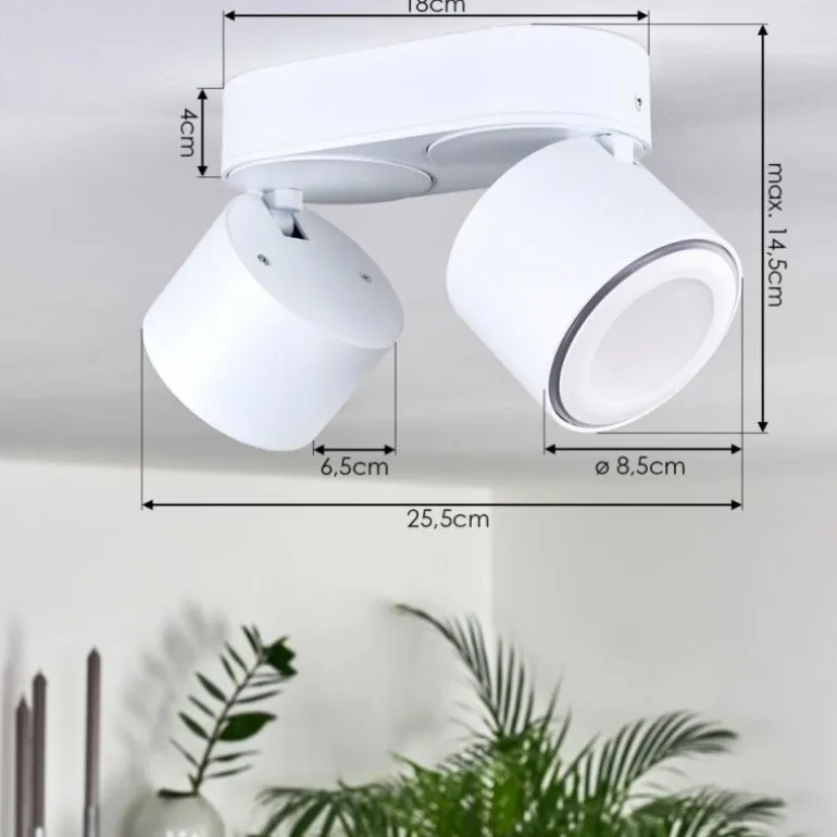 Plafonnier Appleton LED Blanc, 2 lumières