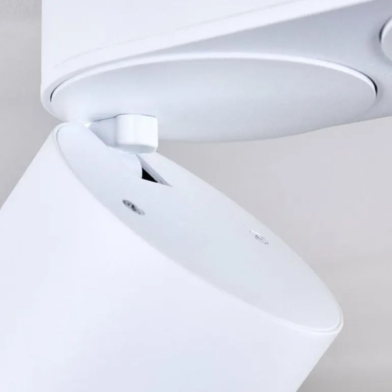 Plafonnier Appleton LED Blanc, 2 lumières