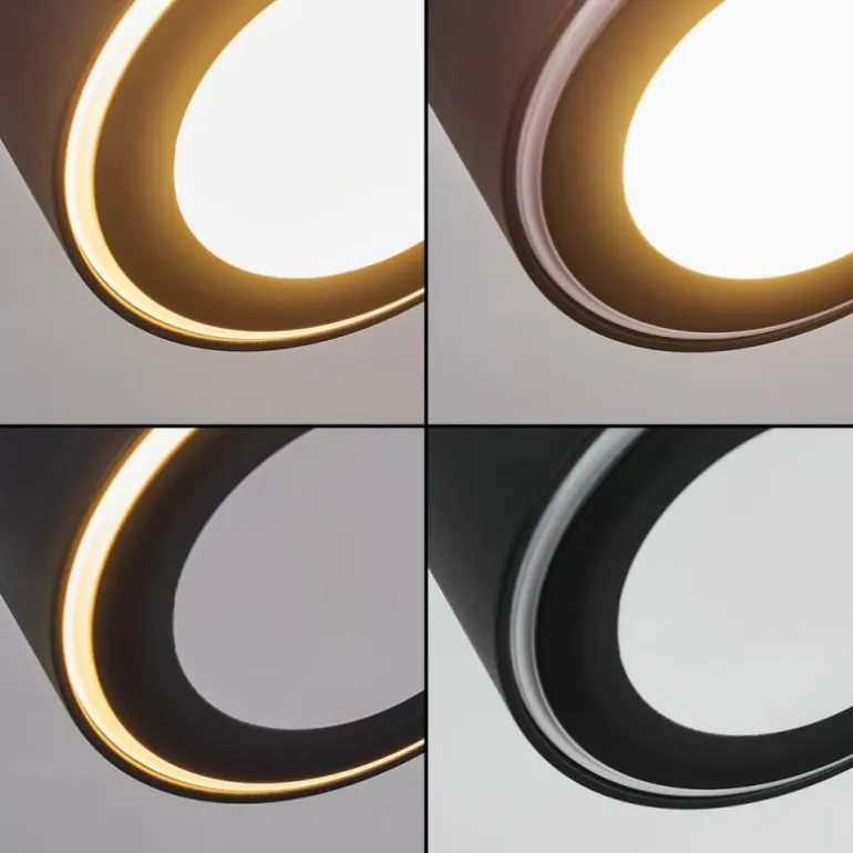 Plafonnier Appleton LED Noir, 1 lumière