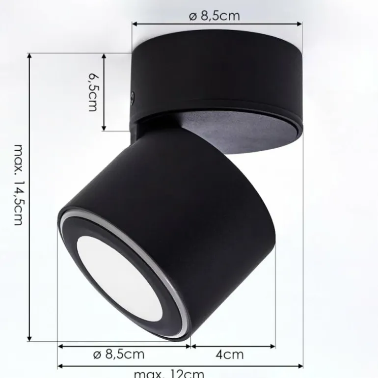 Plafonnier Appleton LED Noir, 1 lumière