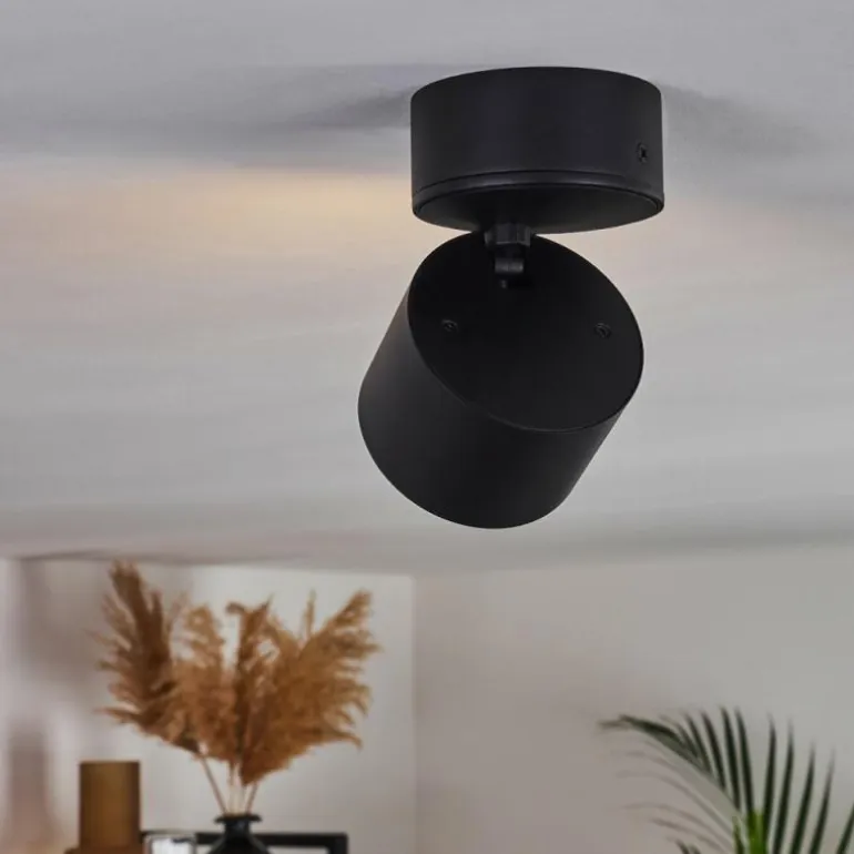 Plafonnier Appleton LED Noir, 1 lumière