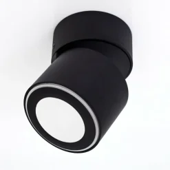 Plafonnier Appleton LED Noir, 1 lumière