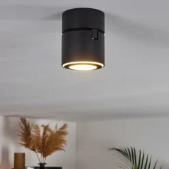 Plafonnier Appleton LED Noir, 1 lumière
