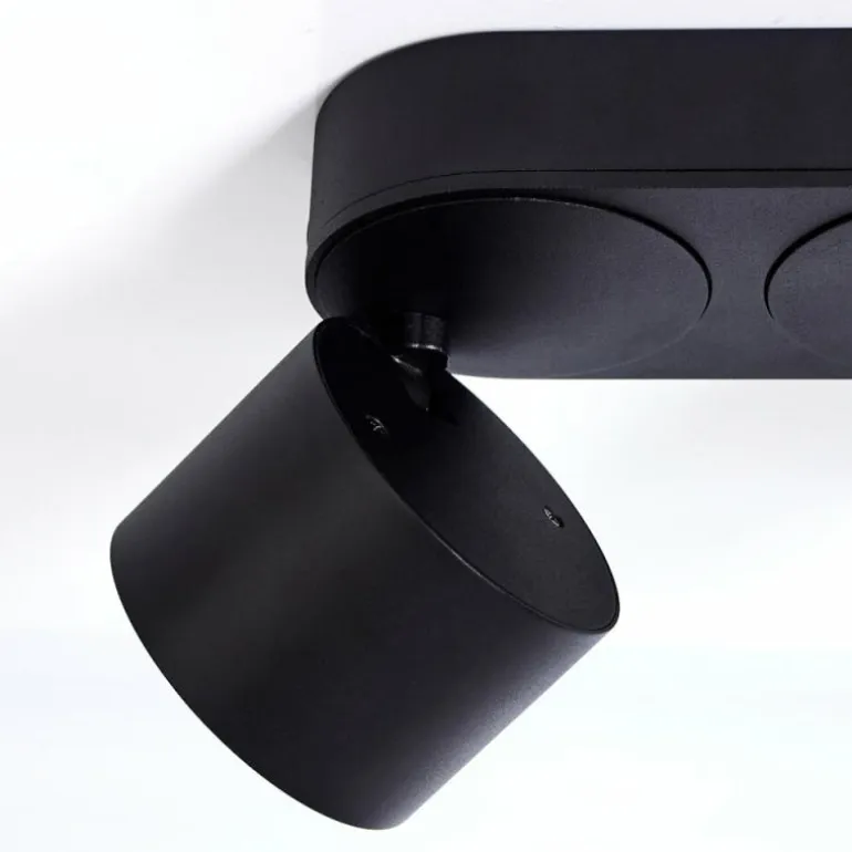 Plafonnier Appleton LED Noir, 2 lumières
