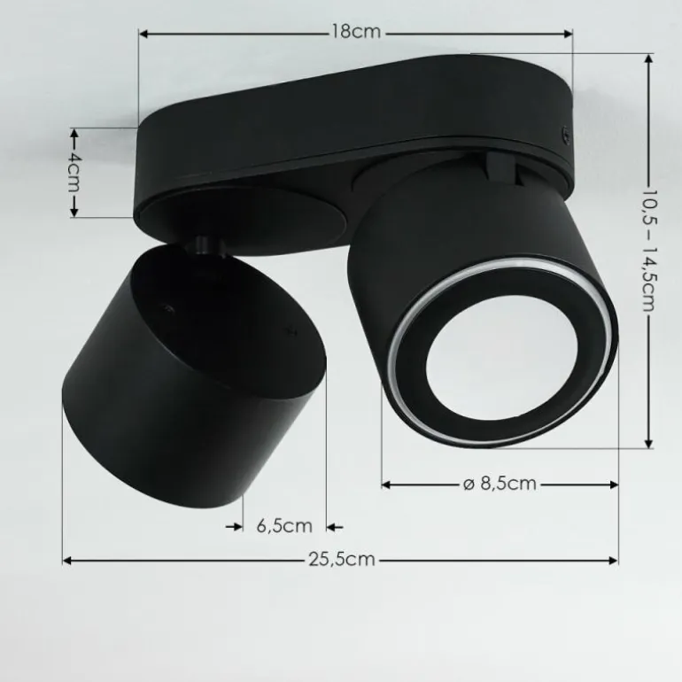Plafonnier Appleton LED Noir, 2 lumières