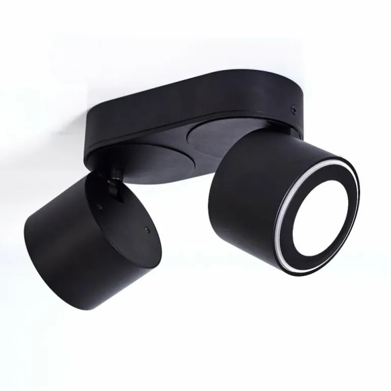 Plafonnier Appleton LED Noir, 2 lumières