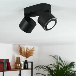 Plafonnier Appleton LED Noir, 2 lumières