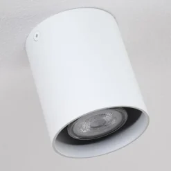Plafonnier Awuna Blanc, 1 lumière