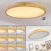 Plafonnier Bagaha LED Brun, Couleur bois, 1 lumière, Télécommandes
