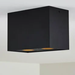 Plafonnier Baishan Noir, 2 lumières