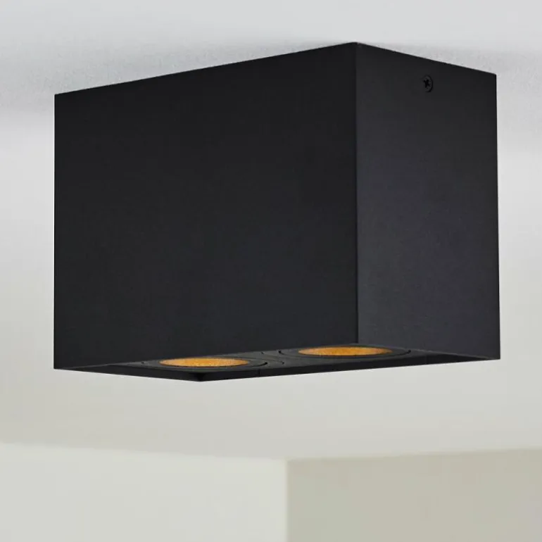 Plafonnier Baishan Noir, 2 lumières