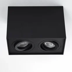 Plafonnier Baishan Noir, 2 lumières