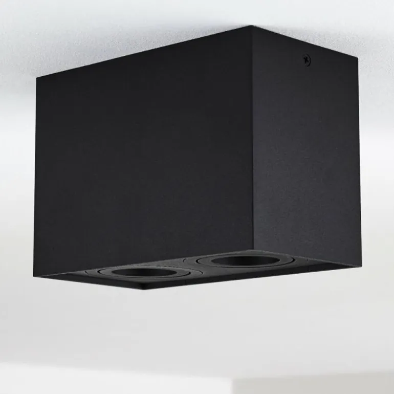 Plafonnier Baishan Noir, 2 lumières