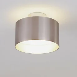 Plafonnier Baraboo LED Nickel mat, 2 lumières