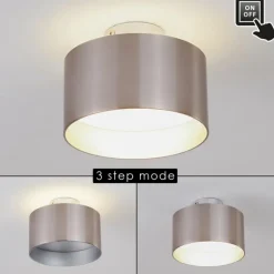 Plafonnier Baraboo LED Nickel mat, 2 lumières